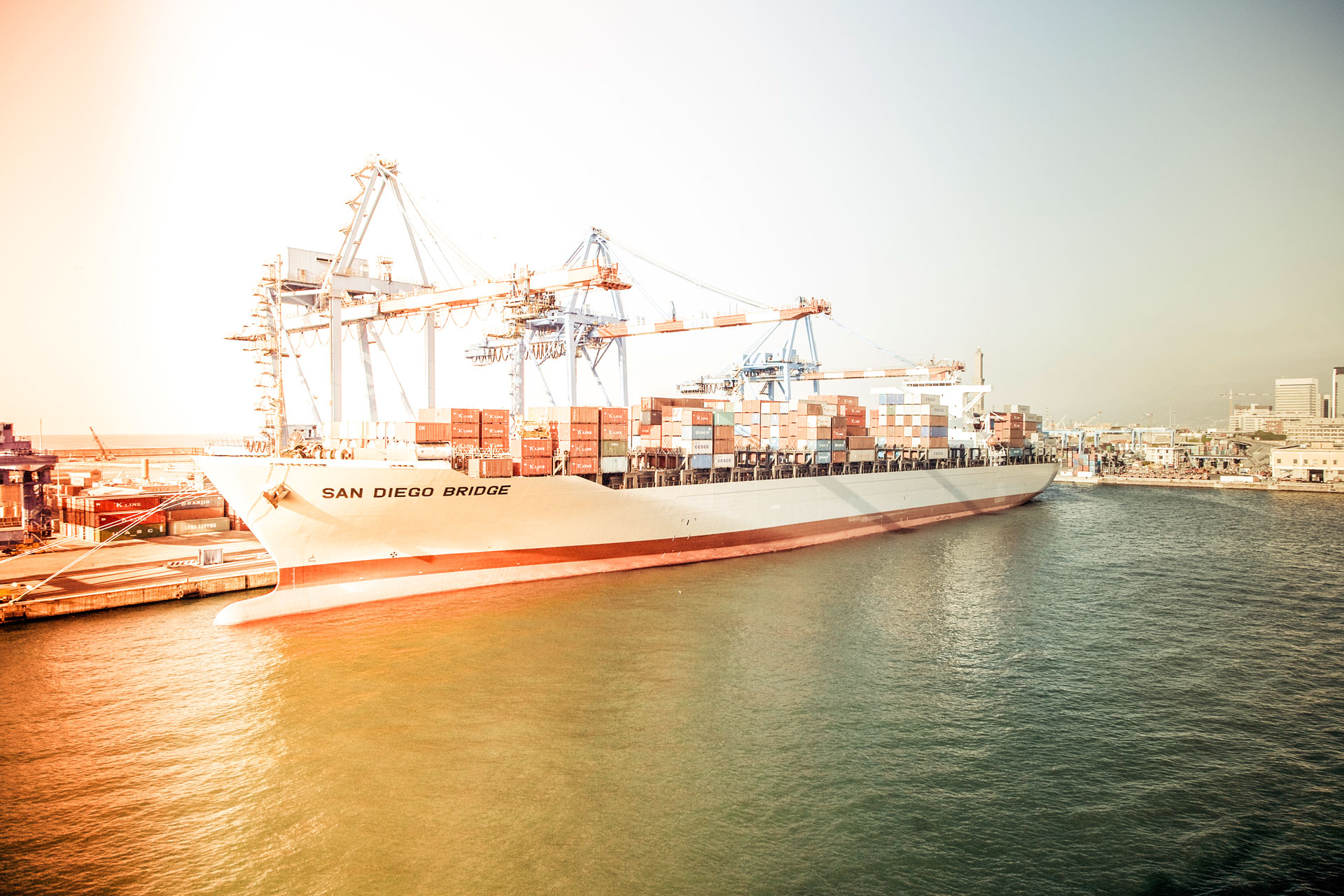A container ship berthed under gantry cranes at port